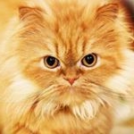 юрий гусев - Instagram Profile Picture of юрий гусев (@iuriigusev8769) on Instagram