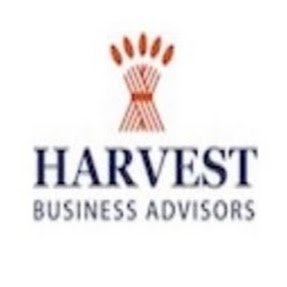 Profile Picture of Richard Stopa - Harvest Business Advisors (@StopaRichard) on Twitter