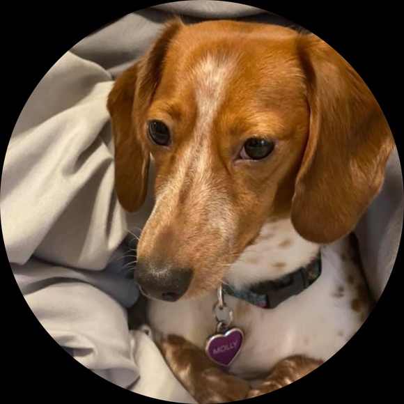 Profile Picture of S Nece (@neceracing) on Poshmark