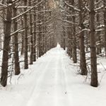 Profile Picture of Lani (@lanivincent) on Instagram