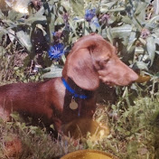 Profile Picture of Adam Long (@GiantsLaker) on Youtube