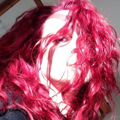 Profile Picture of Julia Frisby (@topbirddbg) on Twitter