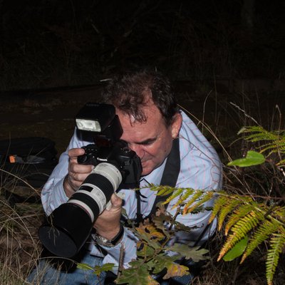 Profile Picture of Jose Antonio Martin Bernardez (@Joseamartinber) on Twitter