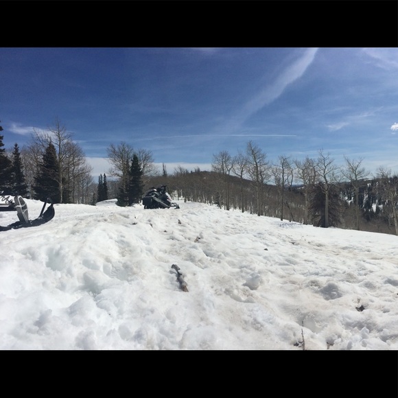 Profile Picture of Catherine Newton (@cnewtown) on Poshmark