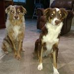 Profile Picture of Arnel Smith (@arnel.smith.73) on Instagram