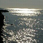 Profile Picture of Manolo Moreno Paez (@manolo.morenopaez) on Instagram