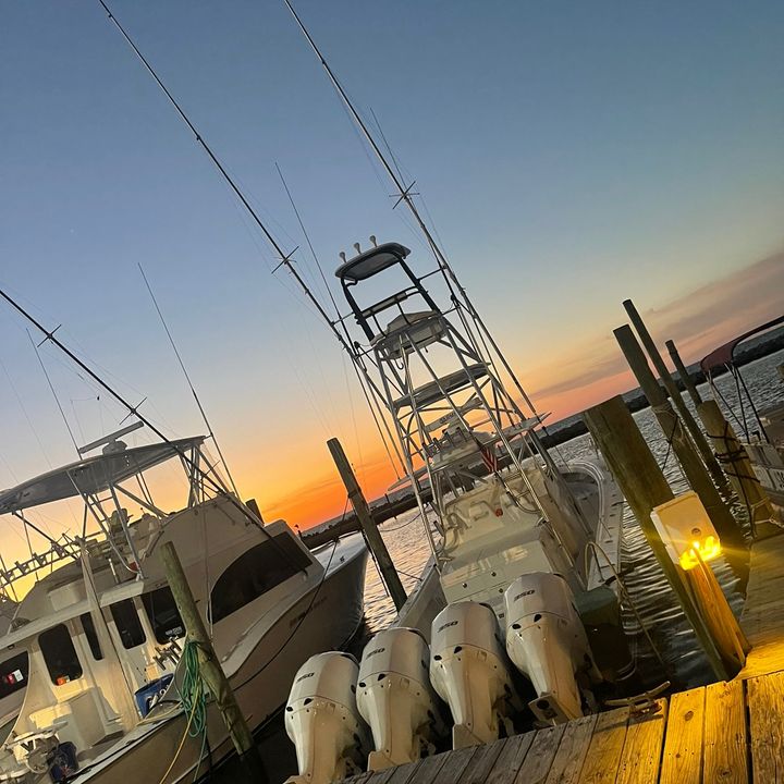 Profile Picture of   Letting her eat! Tender in... (@kennydoyle523) on Tiktok