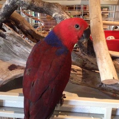 Profile Picture of Mark Moultrie (@mark_m0ultrie) on Twitter
