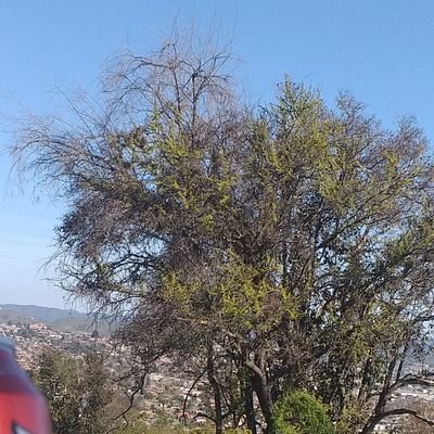 Profile Picture of Frank (@Byron97188879) on Twitter