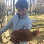 chip Dunn - Instagram Profile Picture of chip Dunn (@sull3nch1p) on Instagram