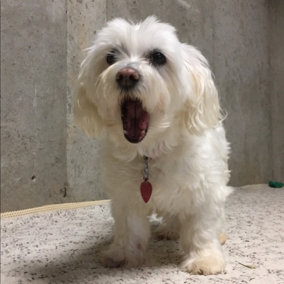 Profile Picture of Luke Rhoden (@lukerhoden) on Poshmark