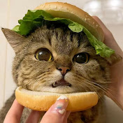 Profile Picture of Maria Isabel Matamoros (@mariaisabelmatamoros) on Youtube