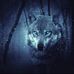 Profile Picture of Bradley Roux (@bradley.roux.568) on Facebook