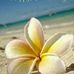 Profile Picture of Foss Schuster (@foss.schuster) on Facebook
