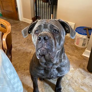 Profile Picture of Janet Lease (Janet Dodrill Lease) (@janet.lease) on Facebook