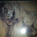 Profile Picture of James Steele (@james.steele.338658) on Facebook