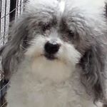 Profile Picture of Mark Geraci (@geracimarkdc_czech_c_free_dry_) on Instagram