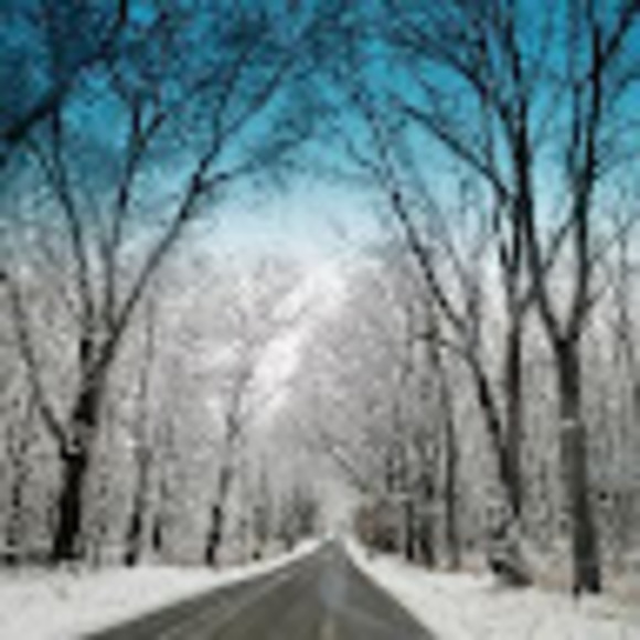 Profile Picture of Sherrie Nordmann (@sherrienordmann) on Poshmark