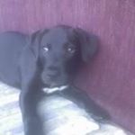 Richard Domanski - Instagram Profile Picture of Richard Domanski (@domanskirichard) on Instagram