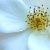 Profile Picture of Matthew Willinger (@matthewwillinge) on Pinterest