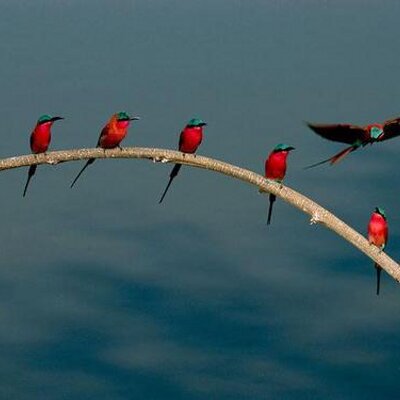 Profile Picture of Fatima (@Eydgahi) on Twitter