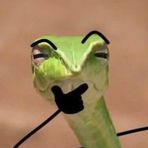 Profile Picture of Nathan Stiles (@Nathan-Stiles) on Facebook