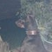 Profile Picture of Thomas Faught (@thomas.faught.9) on Facebook