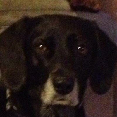 Profile Picture of Sue DeBarry (@SmileyDeBarry) on Twitter