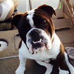 Profile Picture of Ben Brookshire (@ben_brookshire36) on Instagram