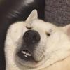 Profile Picture of jasonvanhook666 (@@jasonvanhook666) on Tiktok