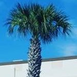 Profile Picture of Andrew Thielen (@andrewtheweird1) on Instagram