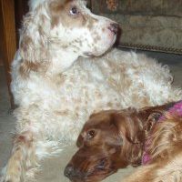 Profile Picture of Edward Torrez (@fifrtorrez) on Pinterest