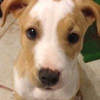 Profile Picture of Mayra Silva (@mayra-silva-13) on Quora