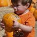 Profile Picture of Sherry Hearn (@happyhearn) on Pinterest