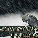 Profile Picture of Tsion Hailu (@tsion.hailu.543) on Instagram