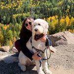 Jordan Harmonay - Instagram Profile Picture of Jordan Harmonay (@jordan_harmonay) on Instagram