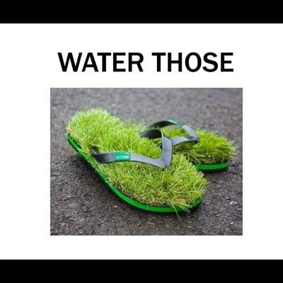 Profile Picture of Michael Coria (@zevrahurtado) on Twitter