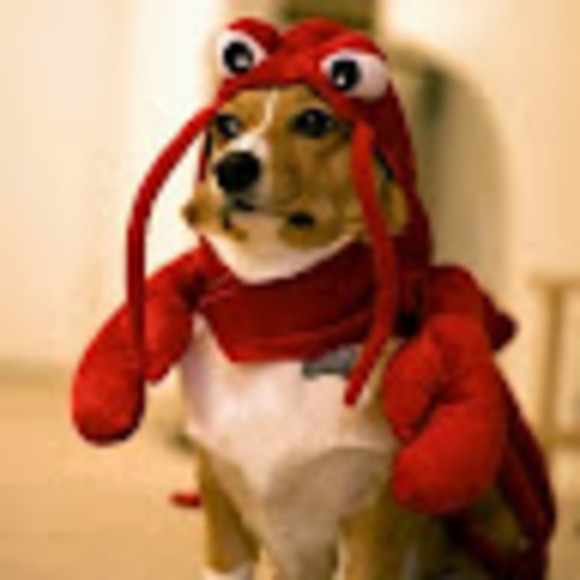 Profile Picture of Ediberto Chavez (@vintagespoonhd) on Poshmark