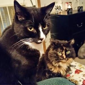 Profile Picture of 小白 (@@amandalose) on Tiktok