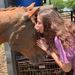 Profile Picture of Jillian DeVito (@jillian_devito) on Pinterest