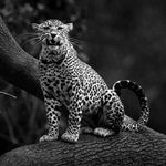 Profile Picture of Marvin Guillemot (@marvinguillemot) on Instagram