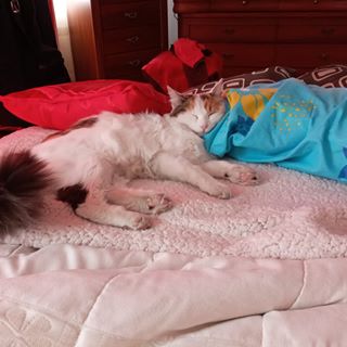 Profile Picture of David Cañizares (Ted) (@kevin.canizares.3) on Facebook