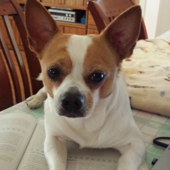 Profile Picture of Pam Hanson (@pamtheham88) on Poshmark