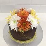 Profile Picture of Shannon Barry (@thecakerscove) on Instagram
