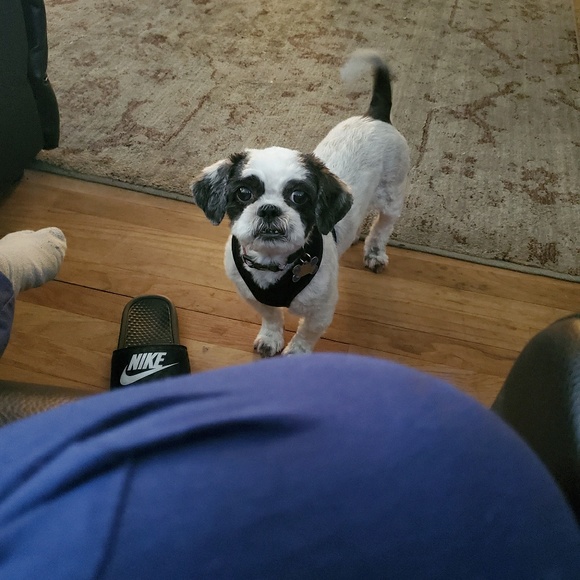 Profile Picture of Alece Mcelrath (@alicenwnderlnd4) on Poshmark