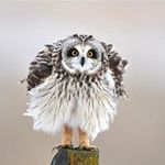 Profile Picture of Nancy McNerney (@nancymcnerney) on Instagram