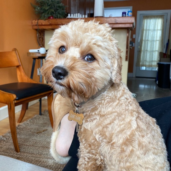 William Bryan - Poshmark Profile Picture of William Bryan (@wtbryan504) on Poshmark