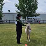 Profile Picture of Amanda Forbes (@amanda.forbes.921) on Facebook