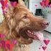 Profile Picture of Sonja Gundersen (@sonja.gundersen.79) on Facebook