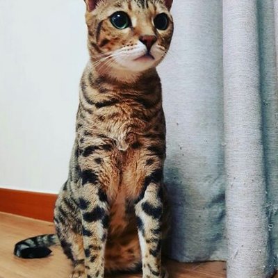 Profile Picture of Cecilia Ordaz (@C_Ordaz) on Twitter